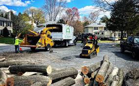 Best Sod Installation  in Upper Sandusky, OH